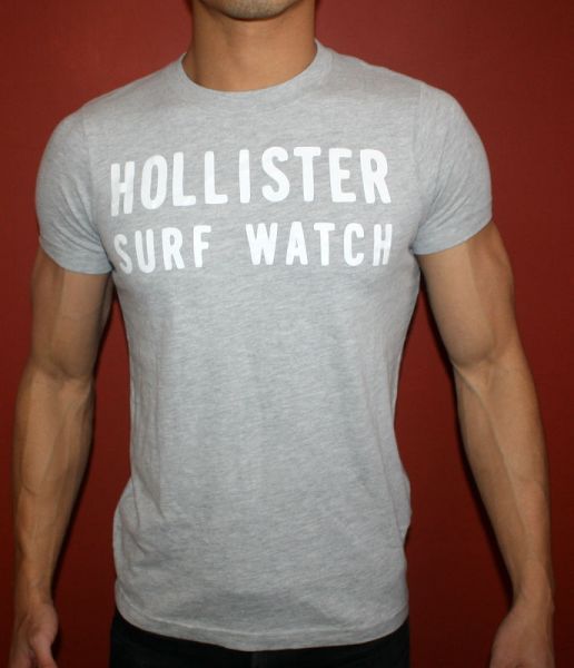 NEW 2012 HOLLISTER  SLIM FIT T SHIRT GRAY SURF WAT